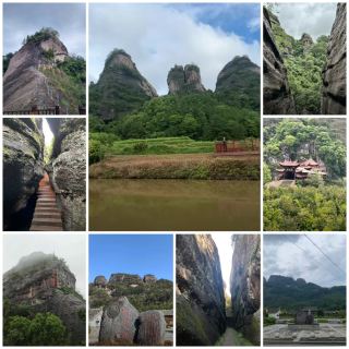 Longyan Guanzhi Mountain | Regret not coming earlier, such a primeval forest!