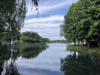 真是寶藏地—人少景美的巴城生態濕地公園