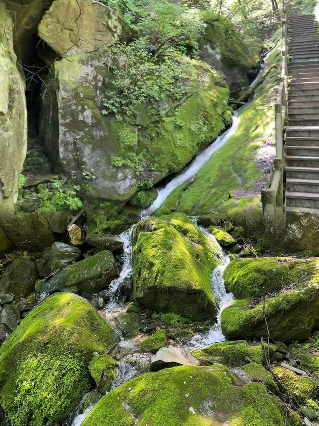 西安 | 逃離城市高溫，一頭栽進25度的秦嶺