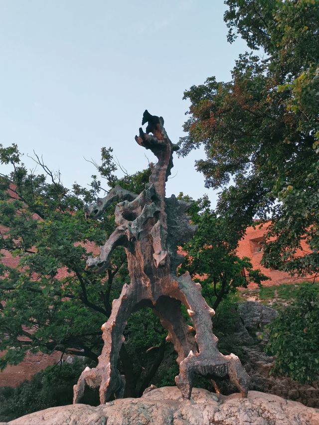 去過那麼多歐洲古城 真正懷念的只有克拉科夫