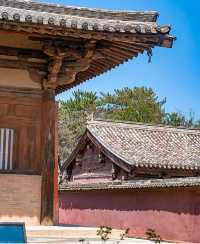 南禅寺|經行法難遺高古，唐塑猶光定禪機
