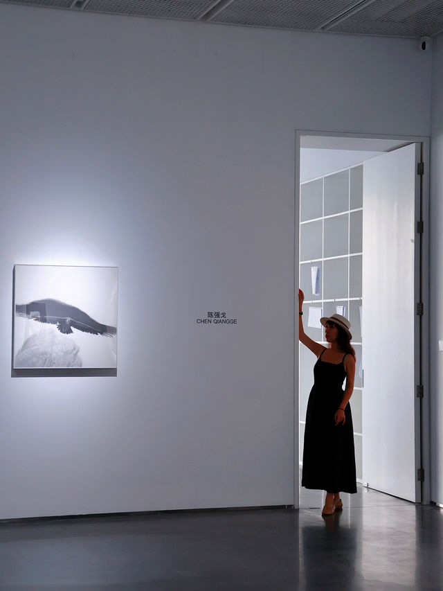 到美術館納涼去｜深圳這裡逛展小眾又出片