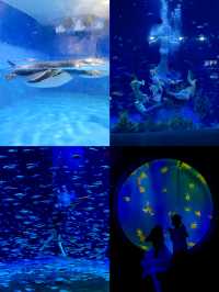 漢海海洋公園又添新耍事，快來和羊咩咩度假