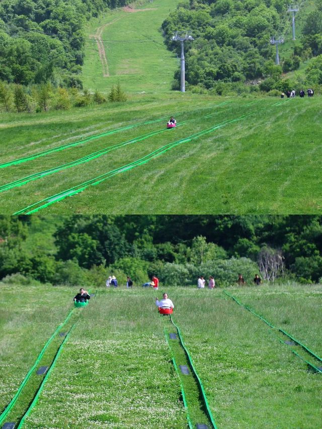 秦嶺深處山野秘境樂園！藏著一整個19°夏天
