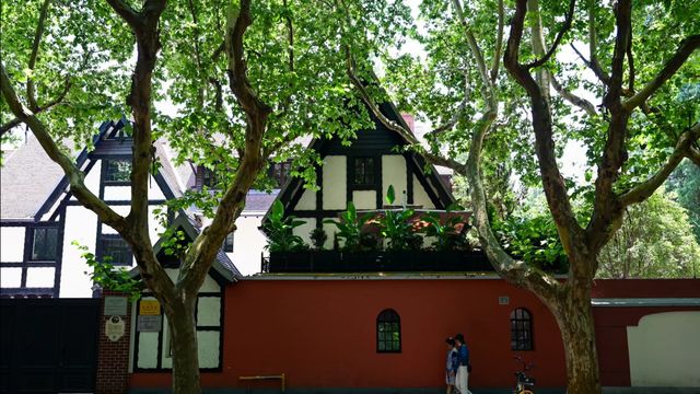 很難對這個季節的新华路說愛你 很難對這個季節的新华路說愛你