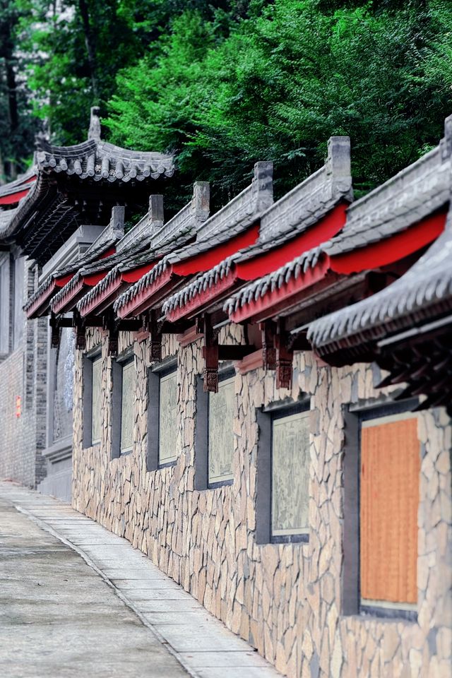 人跡罕至的山林之旅，發現隱藏的寧靜角落！
