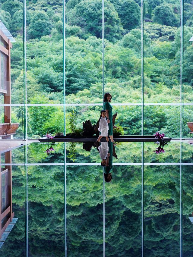 帶娃去了七次峨眉山，實名推薦