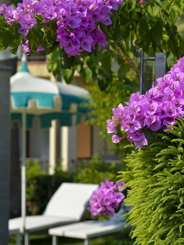 🌟 Limone sul Garda Luxe Stays: Park Hotel Imperial 🌟