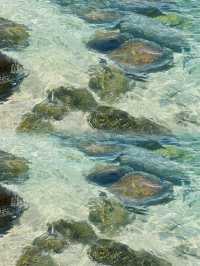 蜈支洲島旅行攻略：如何在這個人間仙境中找到屬於你的樂園