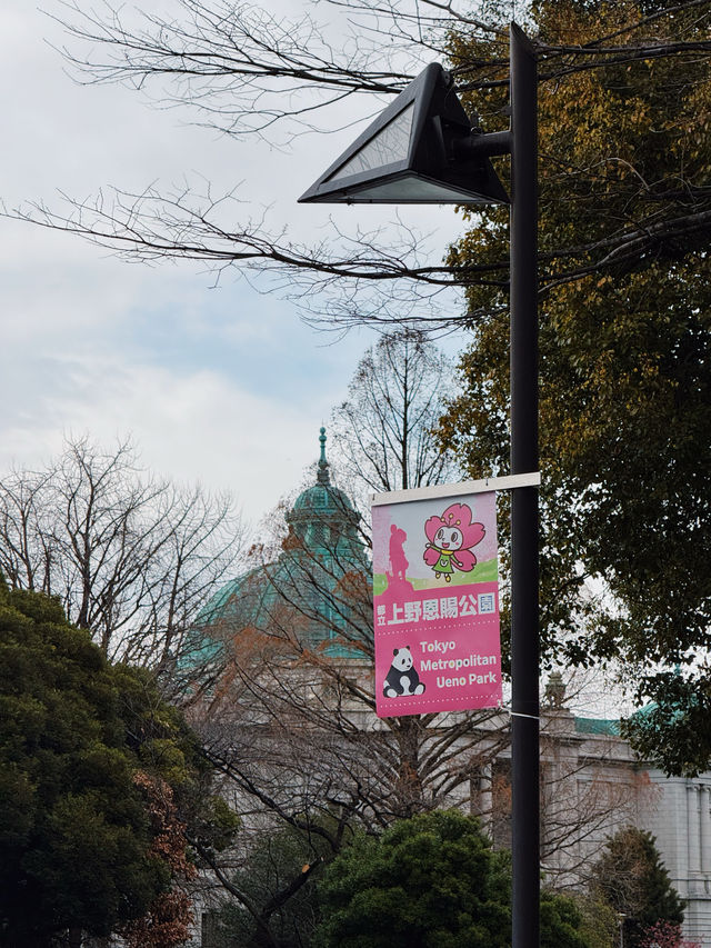 東京｜玩轉上野！必逛恩賜公園 ！