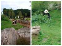 法國聖艾尼昂博瓦爾動物園