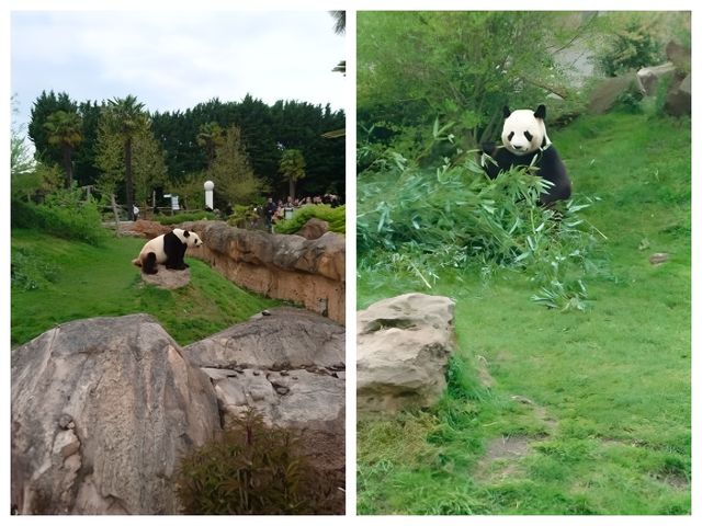 法國聖艾尼昂博瓦爾動物園