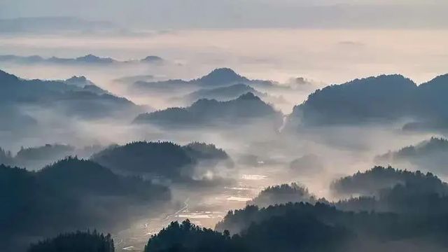 康養青山