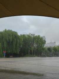 滄州3天2夜（16） 大雨後的獅城公園