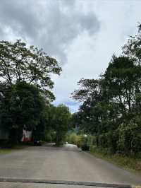 十萬大山森林公園