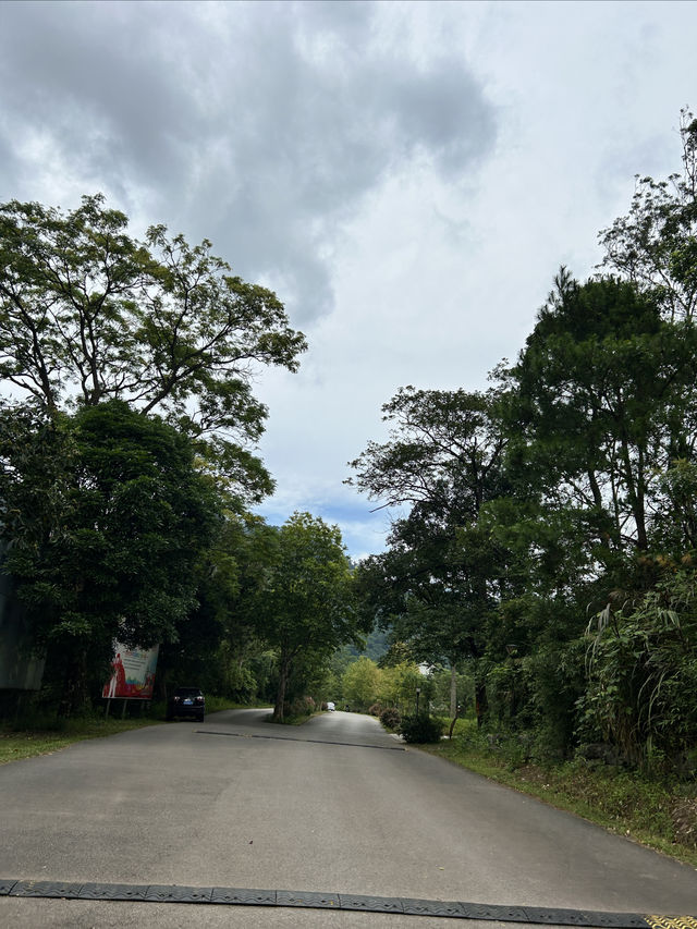 十萬大山森林公園