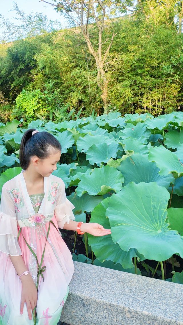三垟濕地人文景觀聚集地。