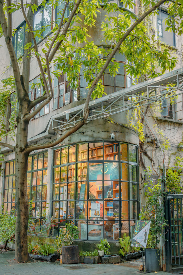 探索佛山垂虹路先行書店舊城區的文藝風景。