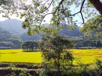 浙江古村落自駕遊～俞源村 俞源村是首批中國歷史文化名村，位於武義縣西南部，距離縣城20公里，為全國第五批重點文物保護單位。