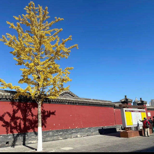 Shenyang Forbidden city in autumn 🍂 