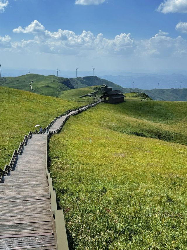 韭菜坪 | 小眾觀花聖地。