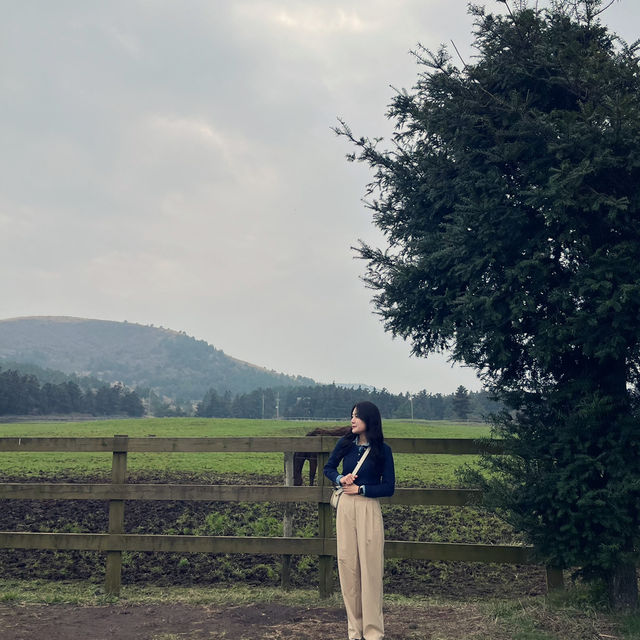 포토존이 가득한 제주도 서쪽 여행 성이시돌 목장🐴