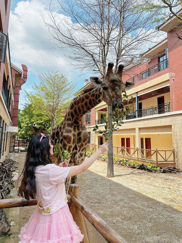長假去哪兒玩？當然是來一場說走就走的親子奇妙旅行啦！今年。