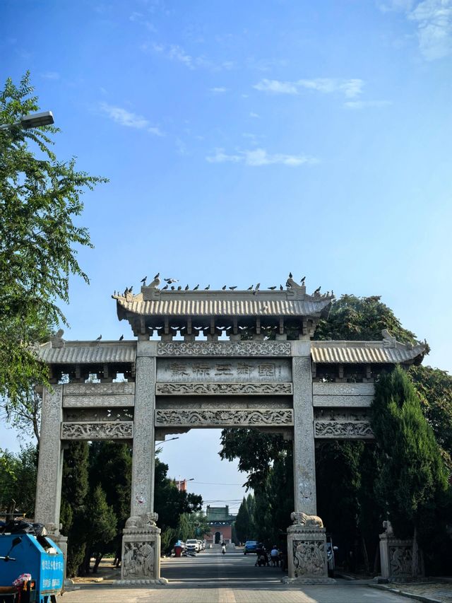 游山東-魯N·德州。