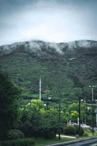 不在新疆蘇州人有自己的「阿勒泰」||雨後通往大陽山的路上， 只見山間霧氣繚繞， 彷彿一幅流動的水。