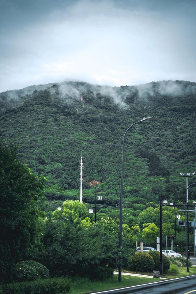 不在新疆蘇州人有自己的「阿勒泰」||雨後通往大陽山的路上， 只見山間霧氣繚繞， 彷彿一幅流動的水。