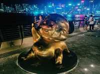 Hong Kong Victoria Harbour: A Catching Charm
