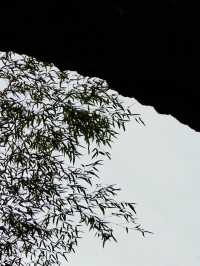 小橋流水人家，古道西風瘦馬，夕陽西下。