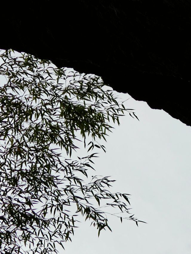 小橋流水人家，古道西風瘦馬，夕陽西下。