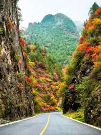 【秦嶺秋色】S101公路上的紅葉盛宴與黑龍口美食之旅。