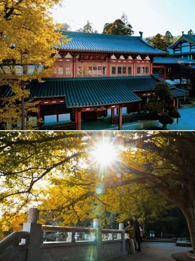 Hangzhou Tea Tasting | A Relaxing Autumn in Jiangnan | Jingshan Travel Guide