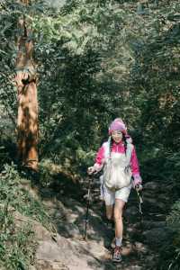 杏梅尖行山遊山野，在大自然中放大感知力。