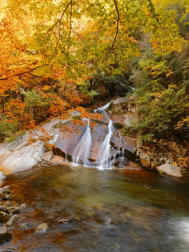 Red leaves fall at Shibayue Pond. 
