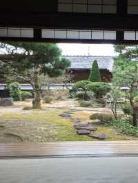 6日秋遊日本超全攻略別錯過。