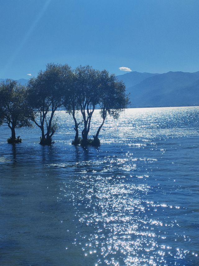 蒼山洱海，陽光的味道。