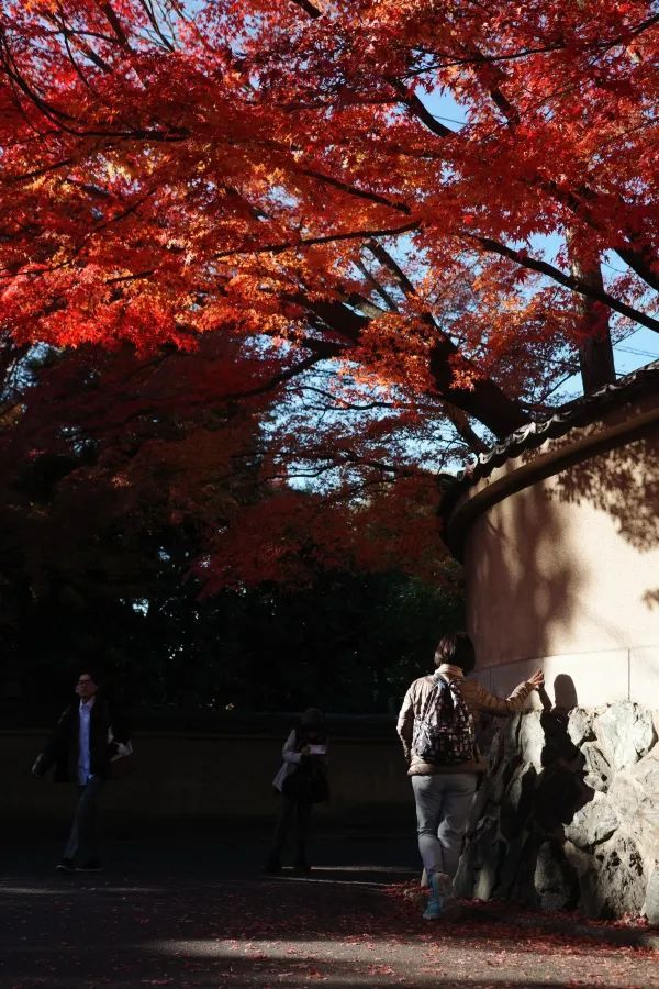 Kyoto To-ji Temple 