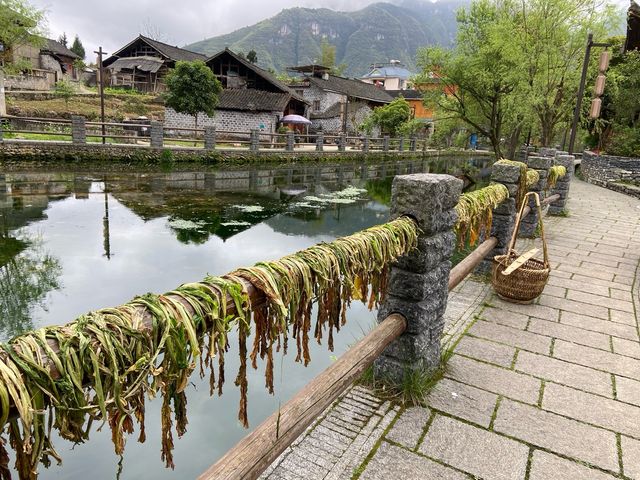 帶著父母去旅行之貴州十日。