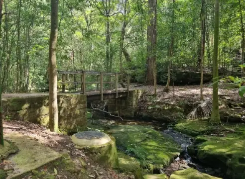 悉尼行山｜城市中的綠野仙蹤｜隱藏路線推薦。