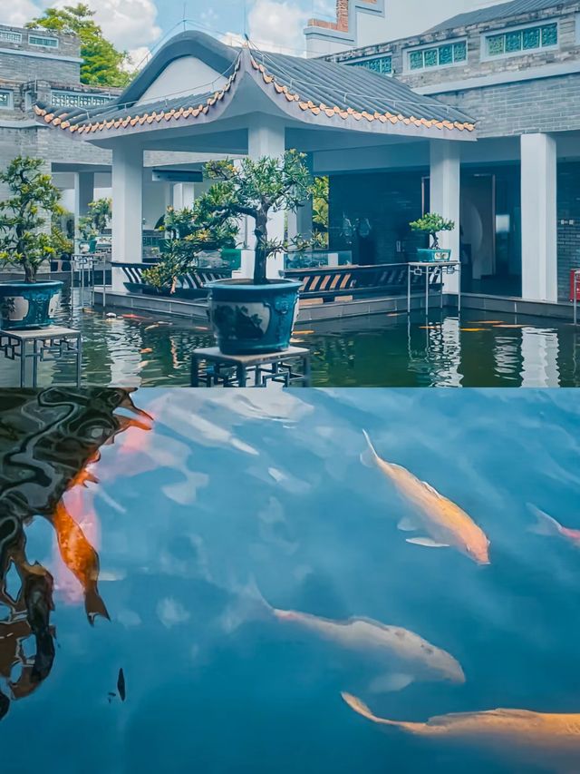 東莞可園遊玩指南|深度攻略|附景點介紹。