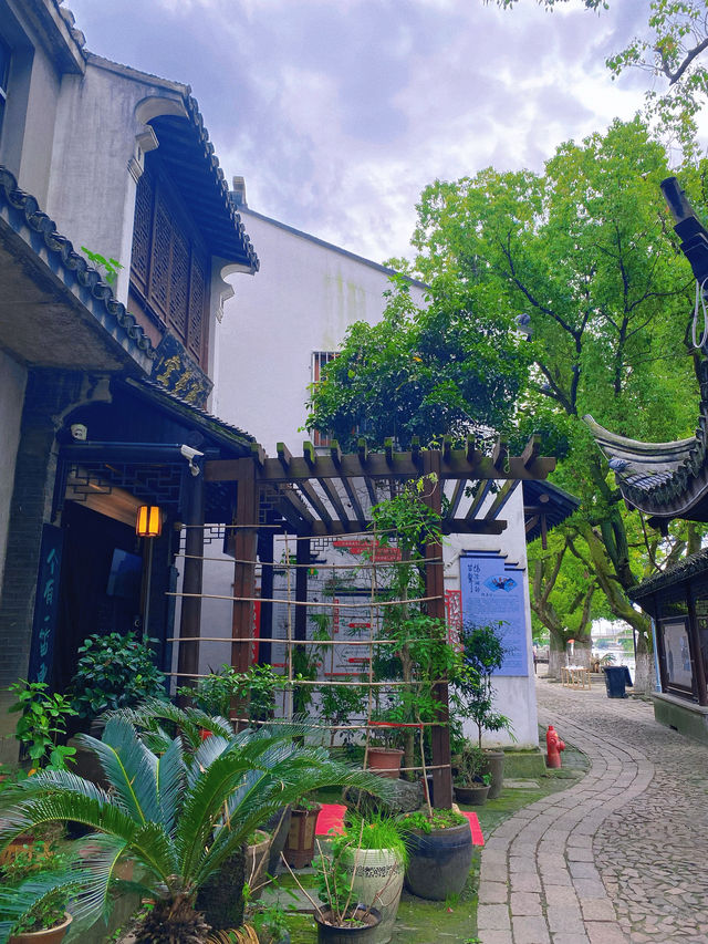 水墨江南｜不負美景，巴城飲茶。