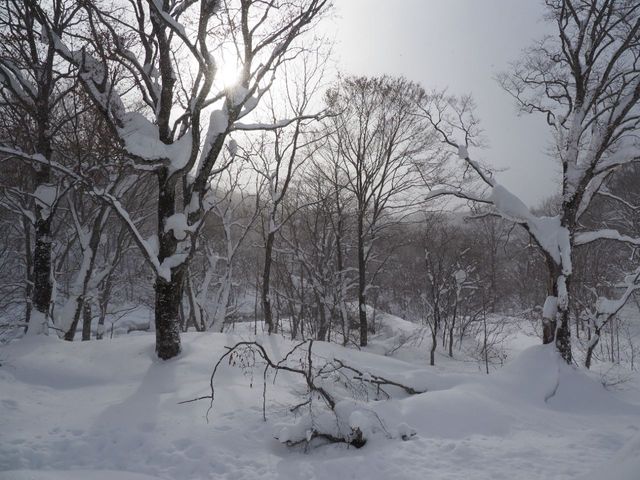 Nyuutou Onsen Village (Akita): A Fairytale Hidden Hot Spring in the Mountains