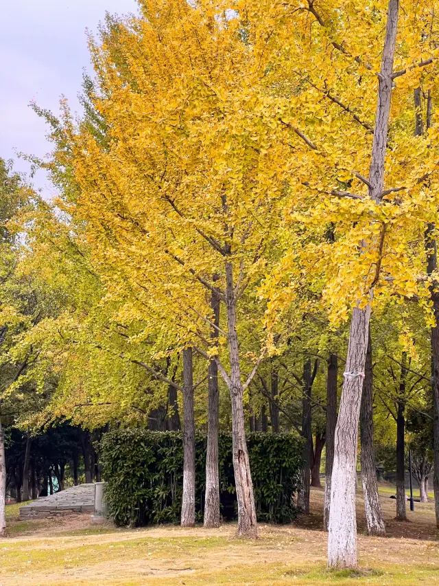 This Weekend! Things to Do in Hanyang!