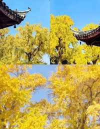 12月一定要來蘇州定慧寺，不然真的後悔。