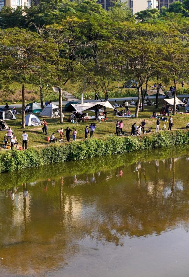滿眼粉色這就是深圳觀瀾河公園的浪漫。