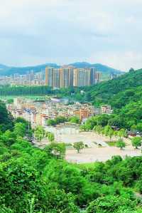 陽台山森林公園｜高處看風景的不止梧桐山！