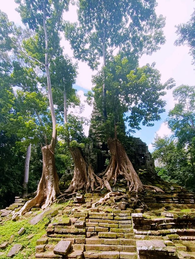 Glorious Angkor Thom Magnificent Ruins: Impression and Posession